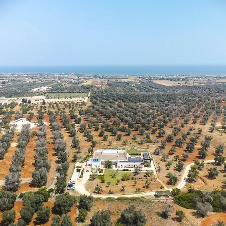 홈스테이 La Casa Del Carrubo - *